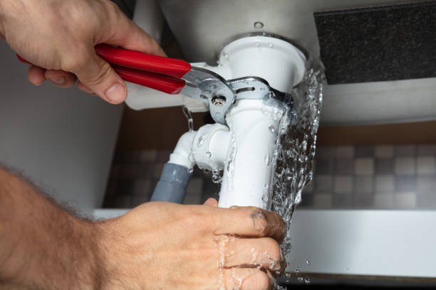 Best Mold removal after water damage  in Alburtis, PA