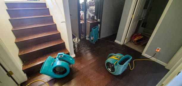 Best 24/7 water damage repair  in Alburtis, PA