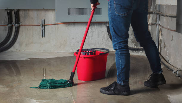 Best Carpet water damage restoration  in Alburtis, PA