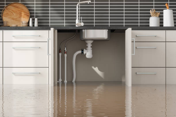 Best Water damage restoration near me  in Alburtis, PA